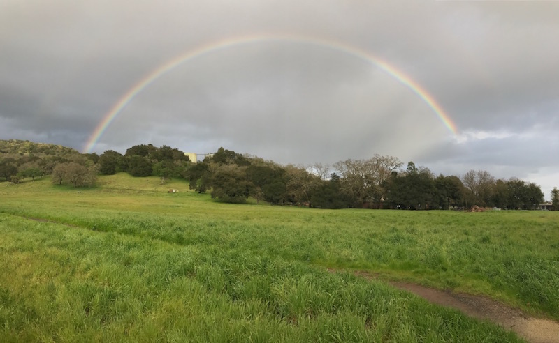 Sonoma Valley Field of Dreams - City of Sonoma