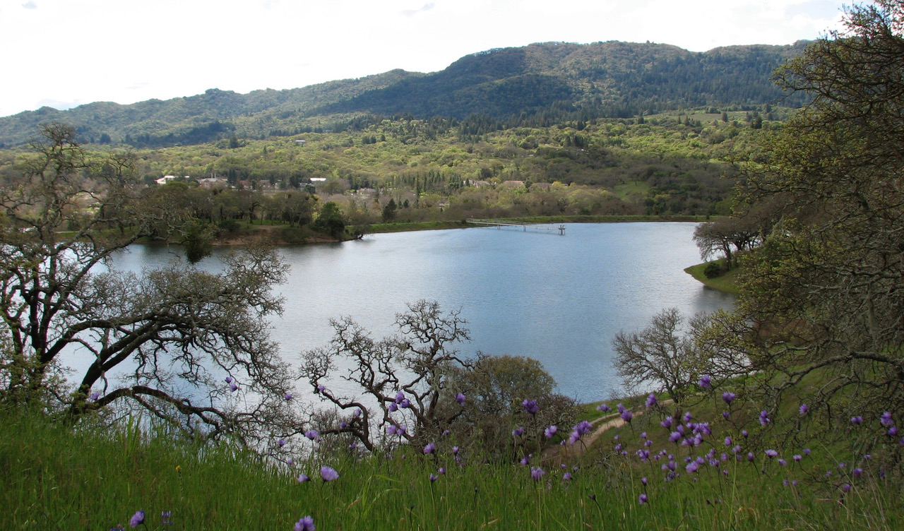 Tolay Lake Regional Park