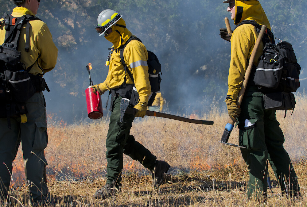 Why We Cancelled our Annual Prescribed Burn at Van Hoosear Wildflower Preserve