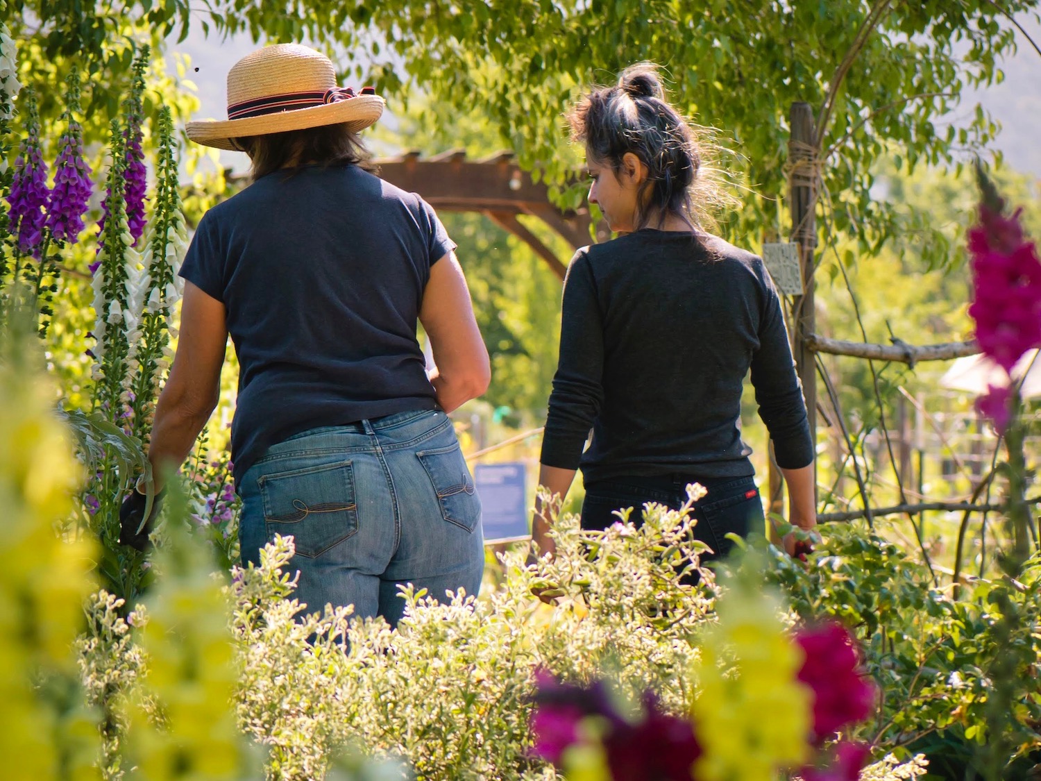 Sonoma Garden Park Volunteer Workday | Día de trabajo voluntario cada tercer viernes del mes @ Sonoma Garden Park | Sonoma | California | United States