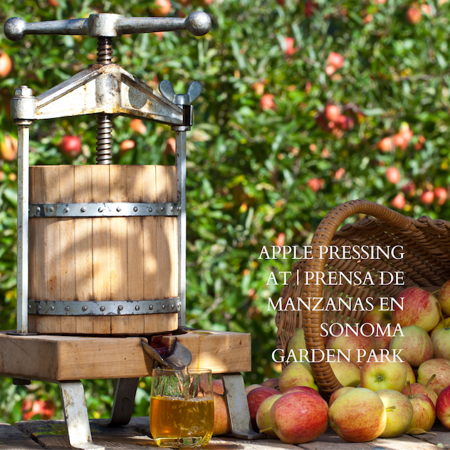 Apple Pressing at Sonoma Garden Park – Prensa de Manzanas en Sonoma Garden Park @ Sonoma Garden Park