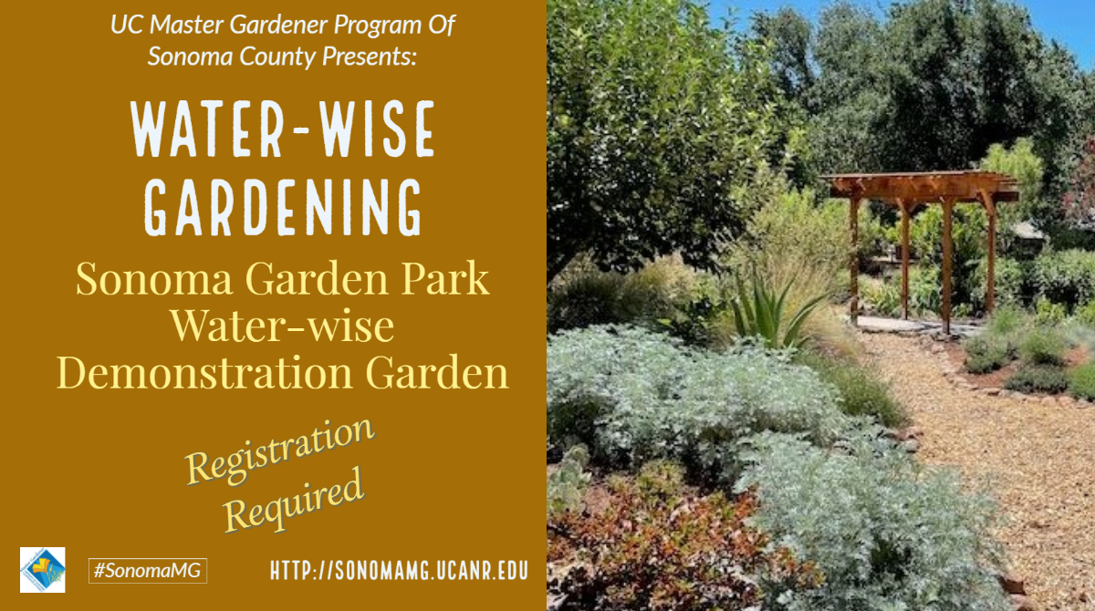 UC Master Gardener Program of Sonoma County @ Sonoma Garden Park | Sonoma | California | United States