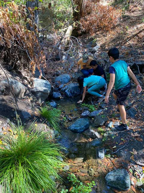 Watershed Education Program Returns to Fully In-Person for 2022-2023! | ¡El programa de educación de la cuenca hidrográfica en persona a escuelas durante el 2022-2023! | Sonoma Ecology Center