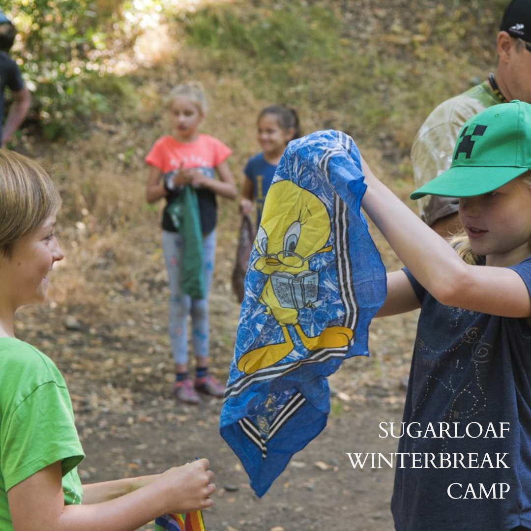 Winterbreak Camp @ Visitor Center Sugarloaf Ridge State Park | Kenwood | California | United States