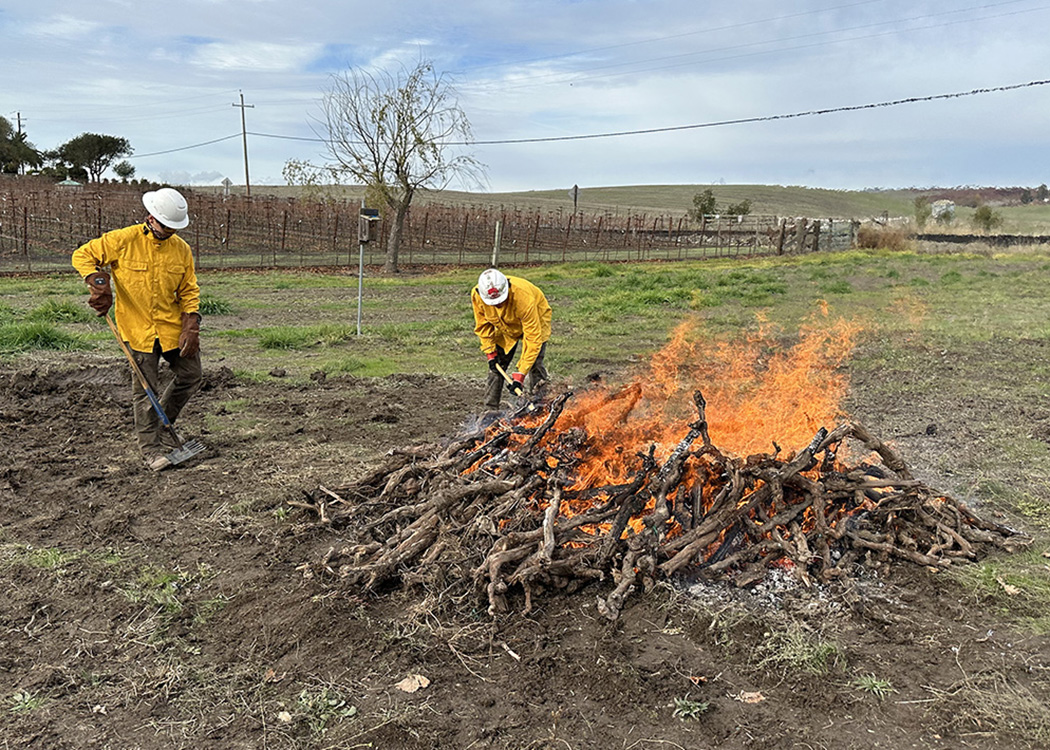 a-successful-biochar-demonstration-in-napa-una-exitosa-demostraci-n