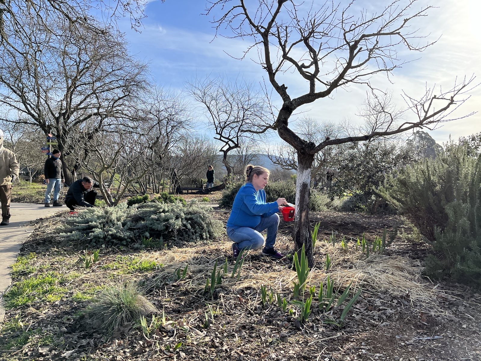 Earth Day Volunteering at Sonoma Garden Park | Día de trabajo voluntario (en honor al Día de la Tierra) en Sonoma Garden Park @ Sonoma Garden Park | Sonoma | California | United States