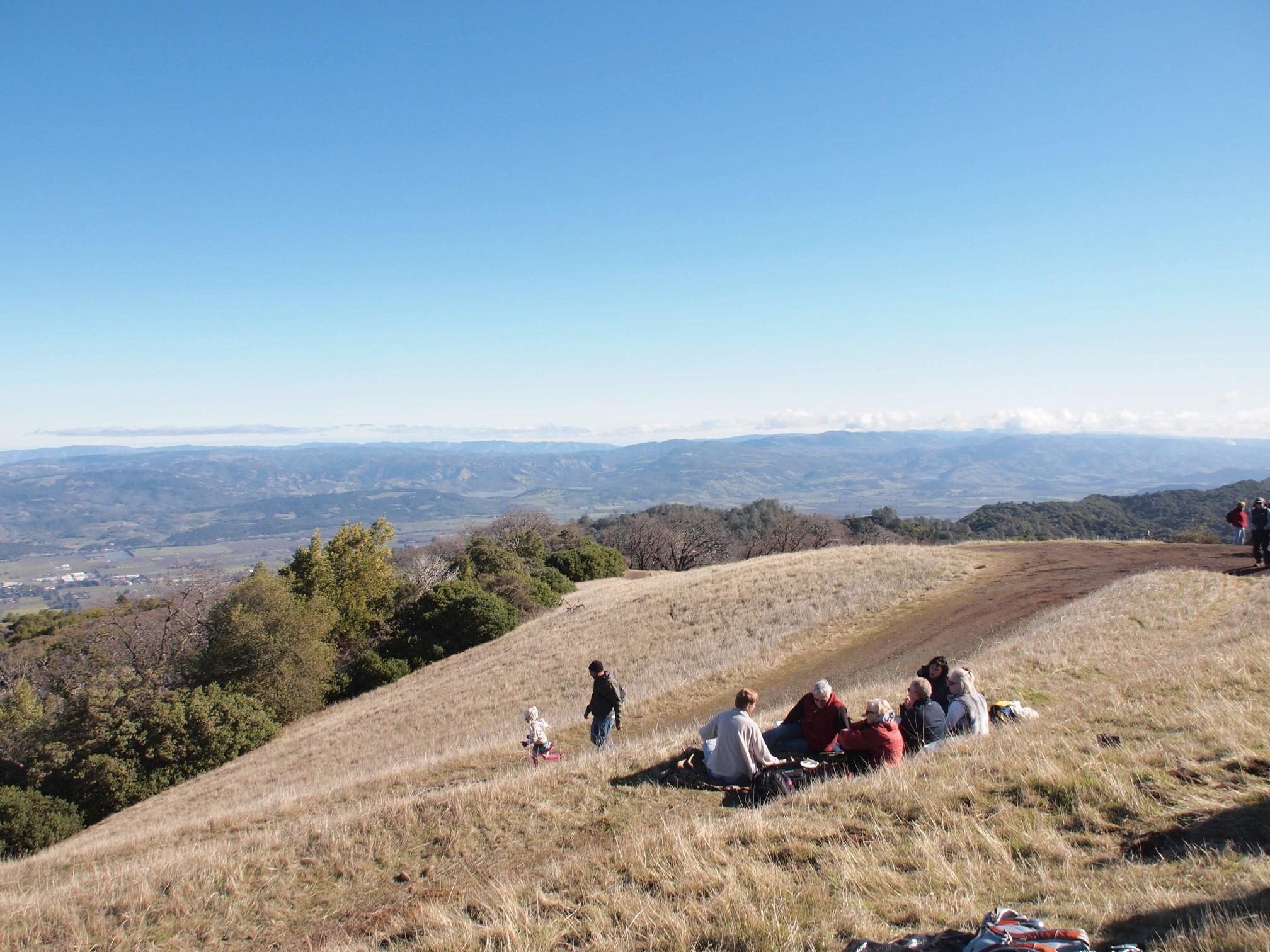 Hillside Party Resized