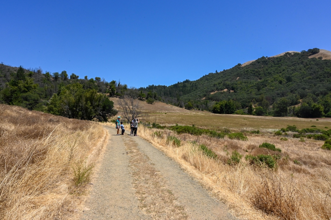 Slow Journeys @ Sugarloaf Ridge State Park | Kenwood | California | United States