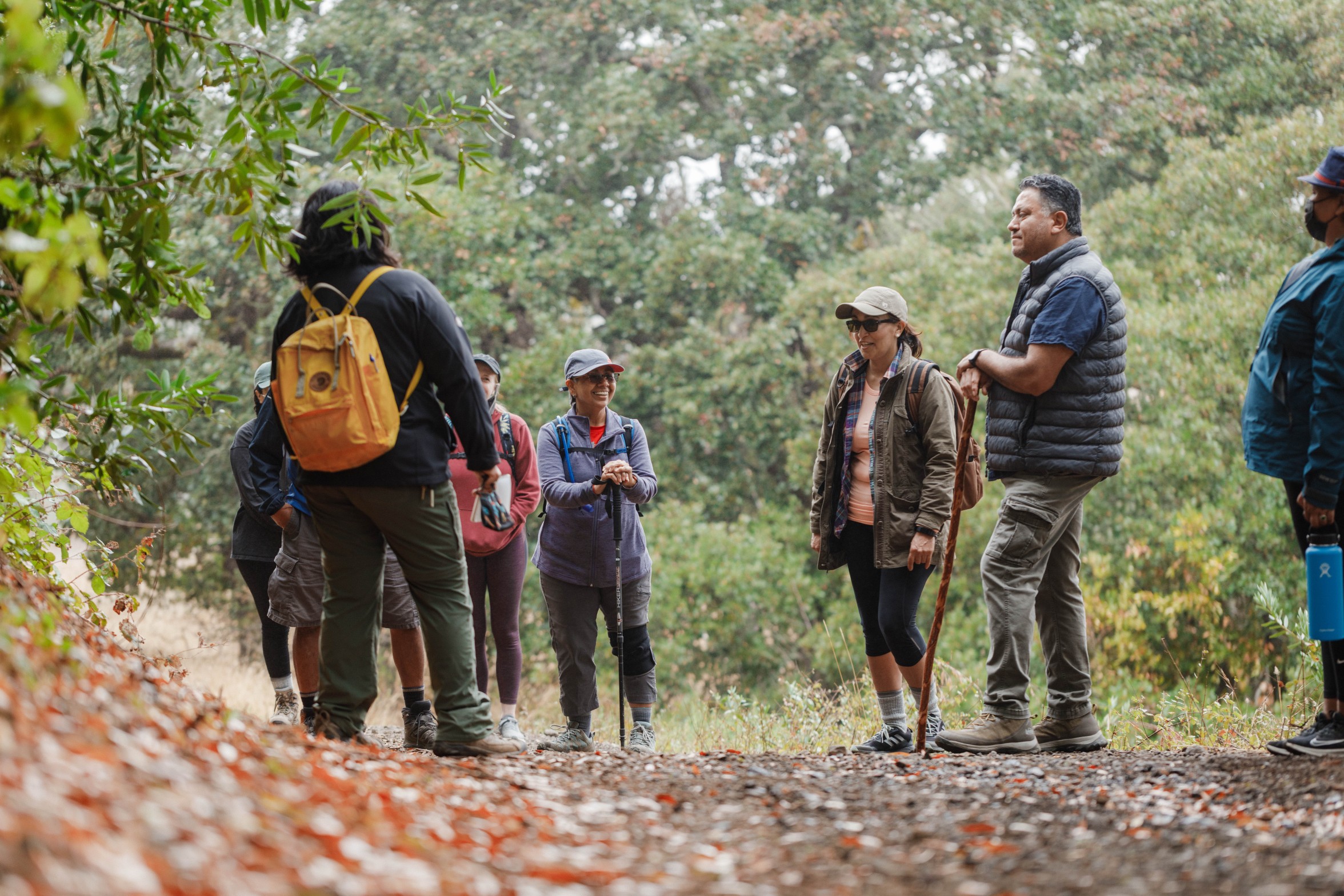 Alma leading a hike. She is facing hikers and discussing with them the plants that they encounter on the hike.