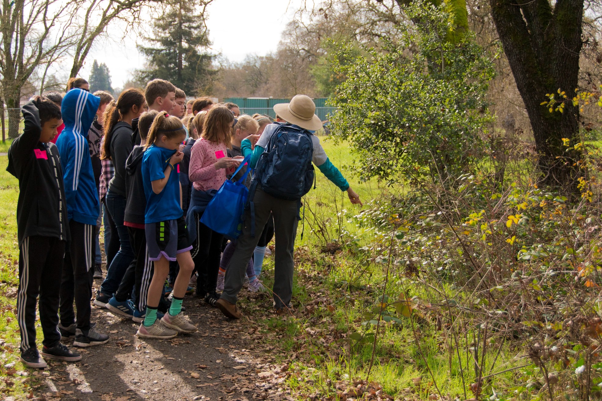 Picture showing an educator from Sonoma Ecology Center leading students from a 5th grade from Prestwood Elementary School on a field trip to Nathanson Creek.