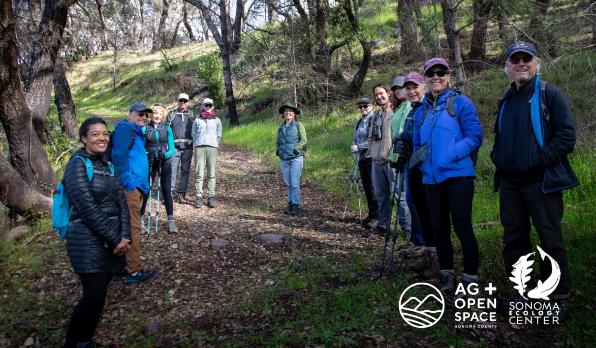 Hike at Saddle Mountain Preserve with Open Space District @ Meeting at Rincon Valley Public Library | Santa Rosa | California | United States