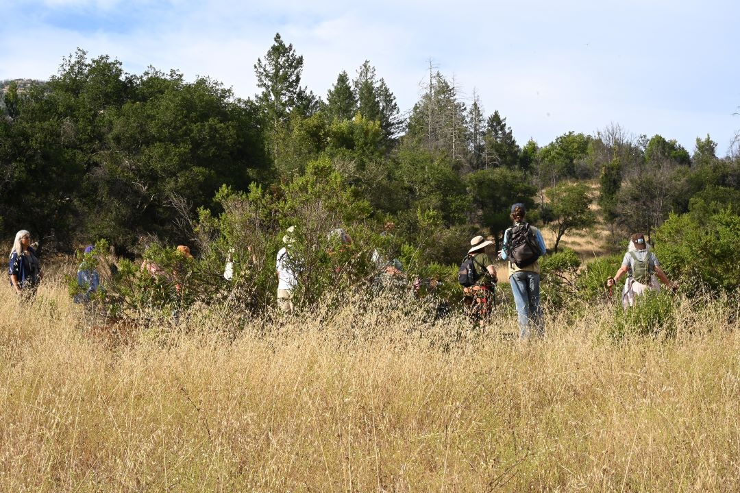 Slow Habitat Journeys @ Sugarloaf Ridge State Park | Kenwood | California | United States