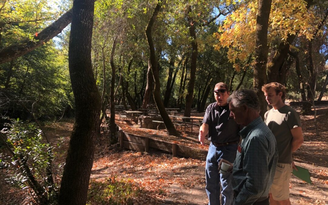 Sonoma Ecology Center Begins Creek Restoration at Morton’s Warm Springs