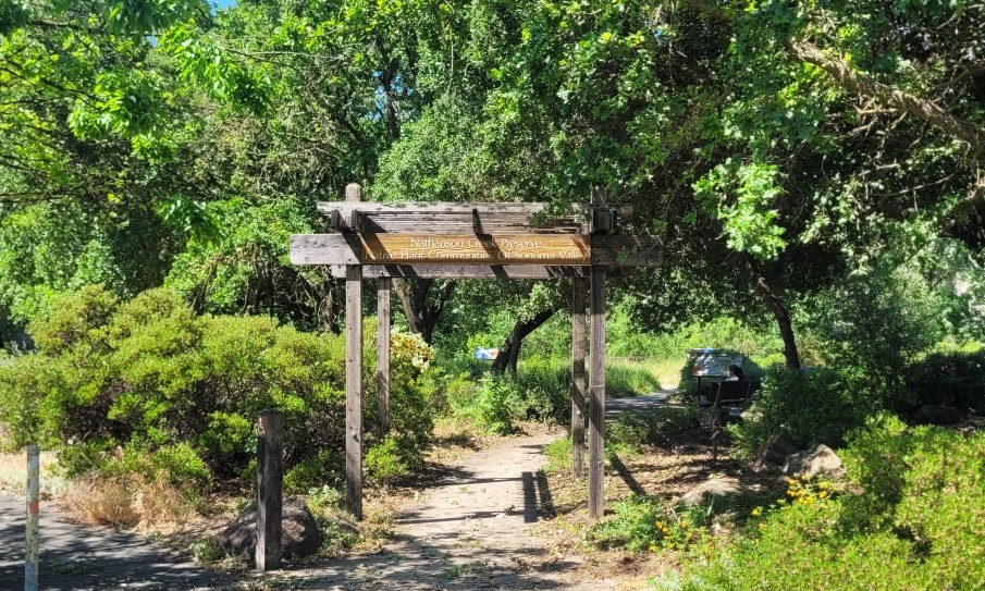 Nathanson Creek Preserve Gets a Refresh