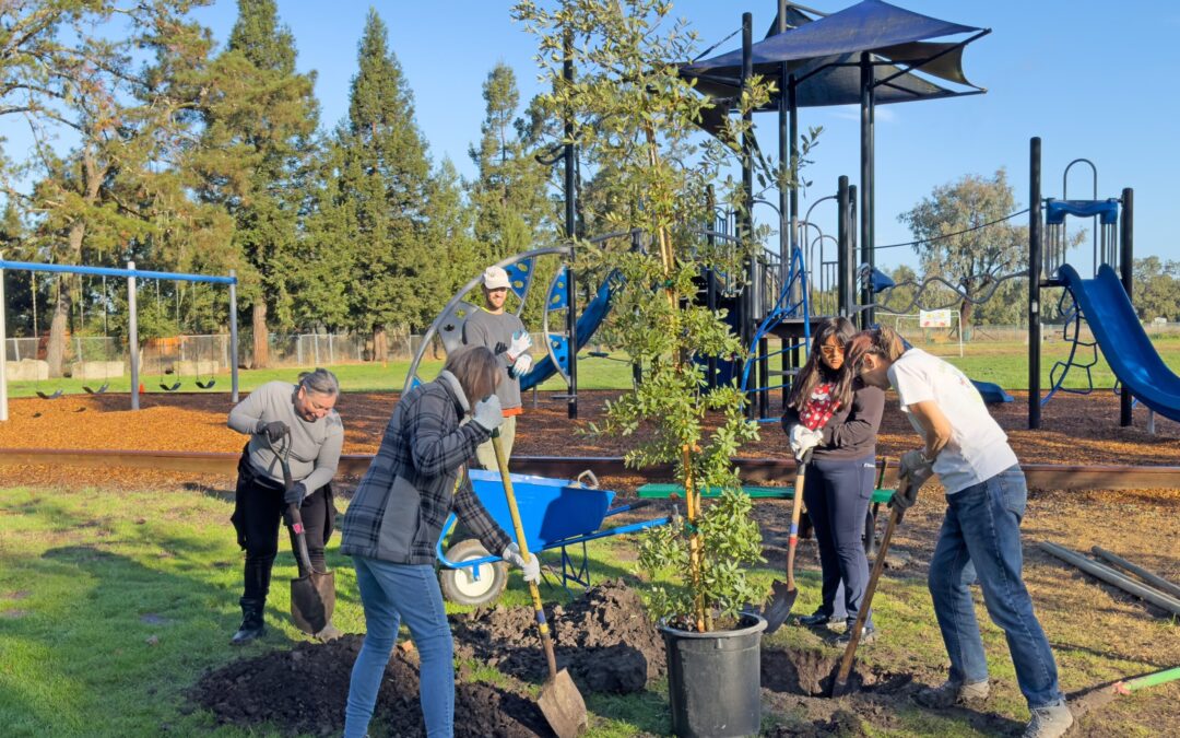 Transforming Playgrounds Through The Green Schoolyards Project