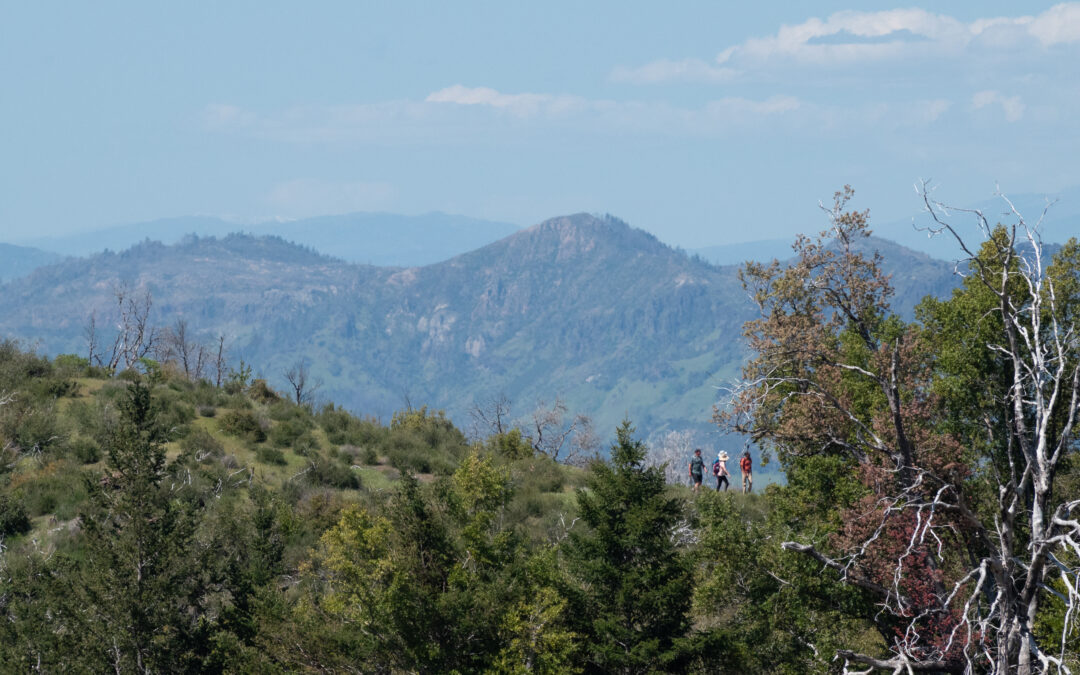 Protected: Gratitude From the Trails: A Recap of Headwaters to Headwaters 2025