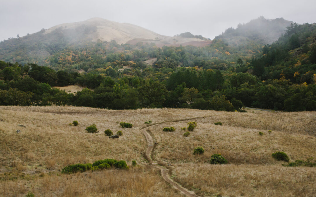 55 Years For Earth Day, 35 Years for Sonoma Ecology Center