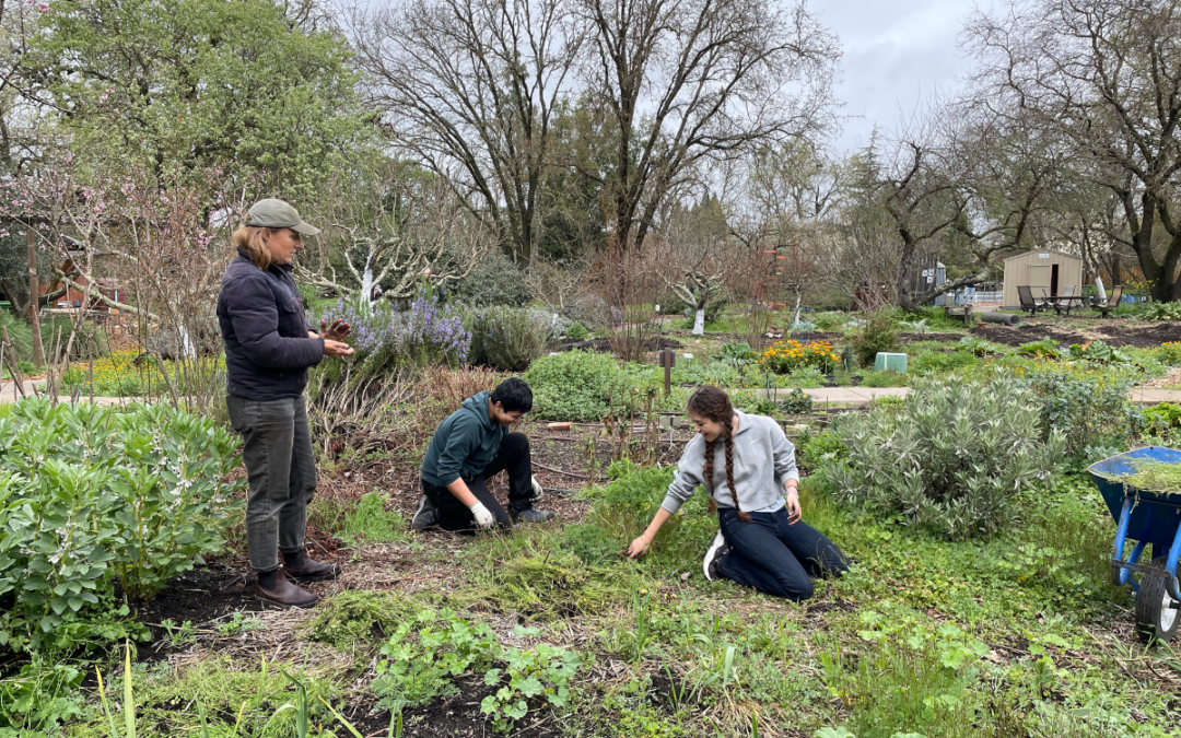 Sonoma Ecology Center Wraps Up Another Semester of Teen EnviroLeaders Program