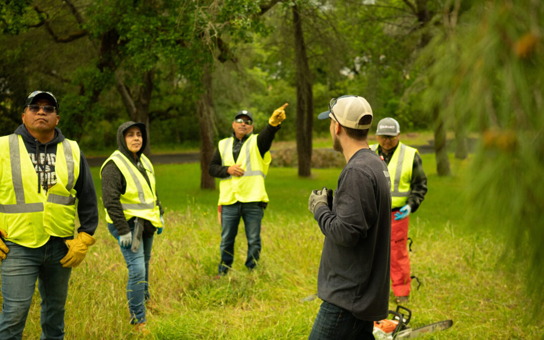 Cultivating Fire-Wise Landscapes: SEC Partners with SRJC & La Luz to Empower Local Workforce