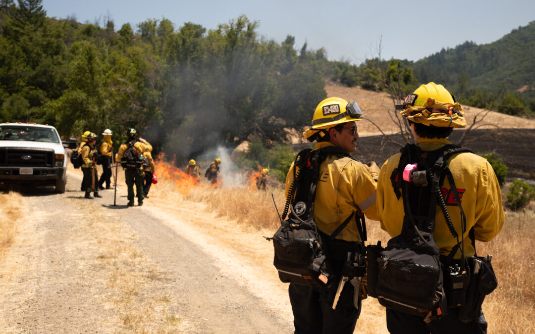 Protected: Land Stewardship at Sugarloaf: Photos Capture a Prescribed Burn in Action