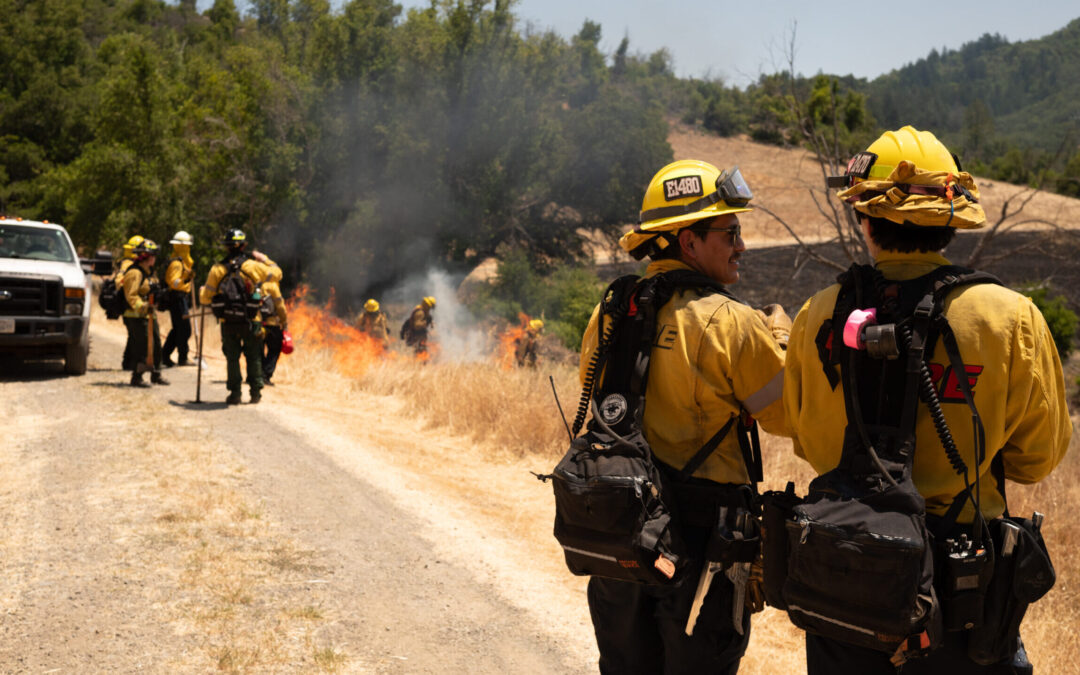 Cultivating Fire Resilience at Sugarloaf Ridge State Park: Photos Capture the First Prescribed Burn Since 1999
