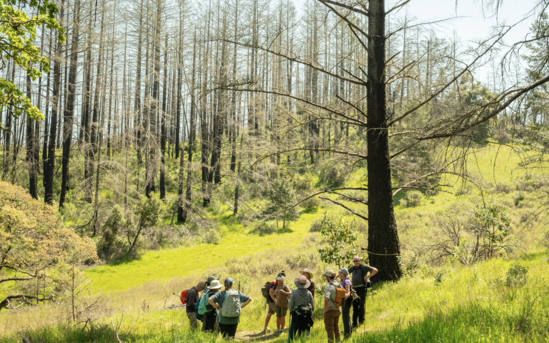 Close to Home: By working together, we can alleviate climate change