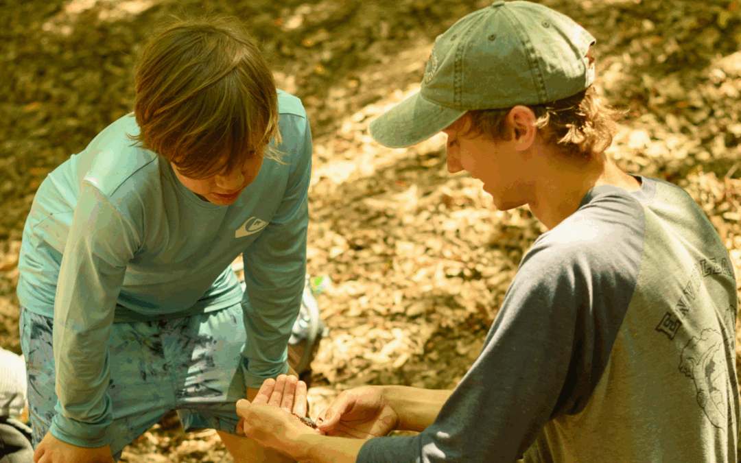 Summer Camp 2025 Wrap-Up: How Mentorship Shapes the Next Generation of Environmental Leaders