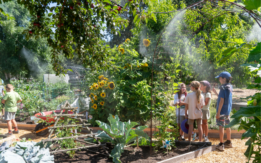 Welcoming Spring at Sonoma Garden Park