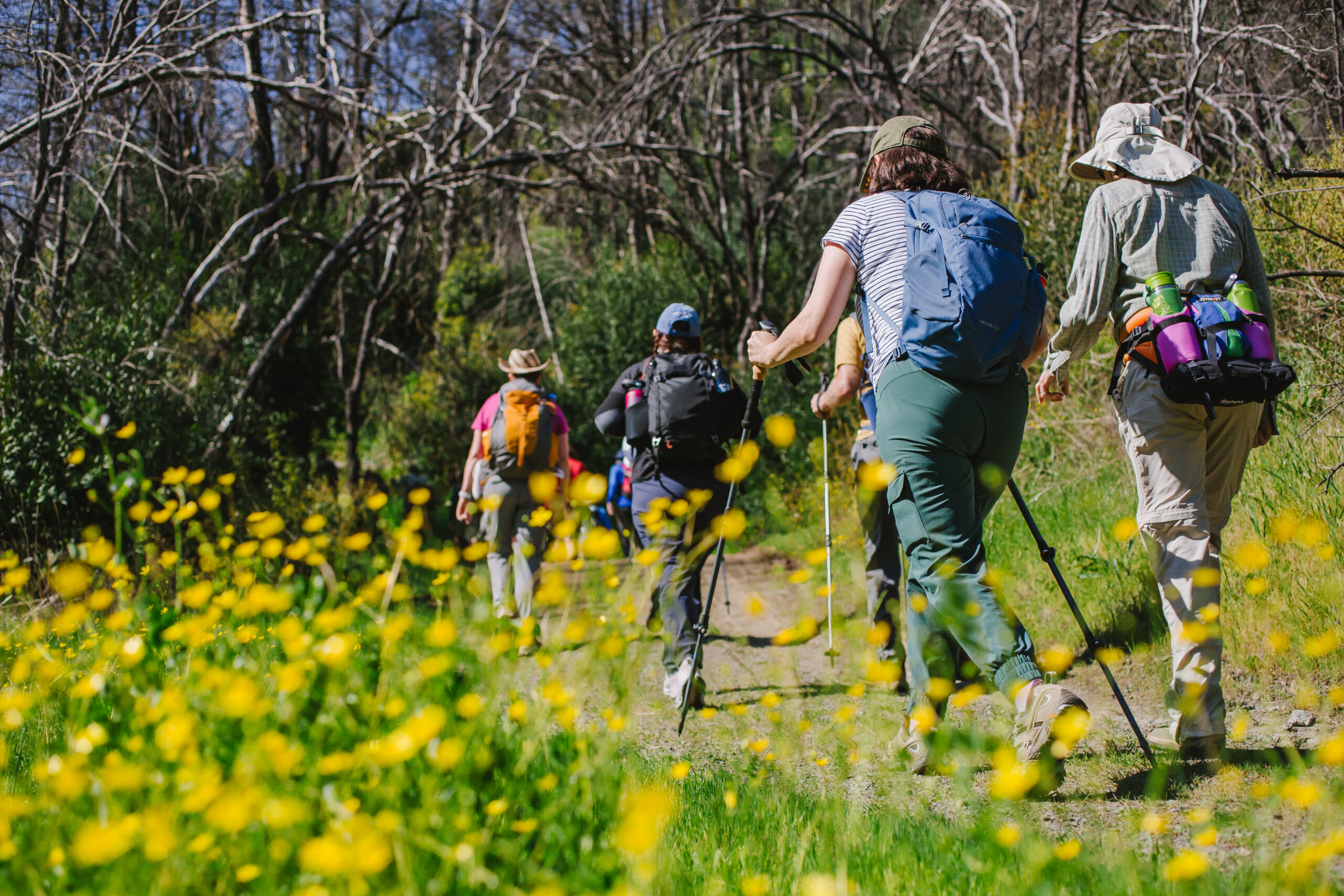 Van Hoosear Wildflower Preserve