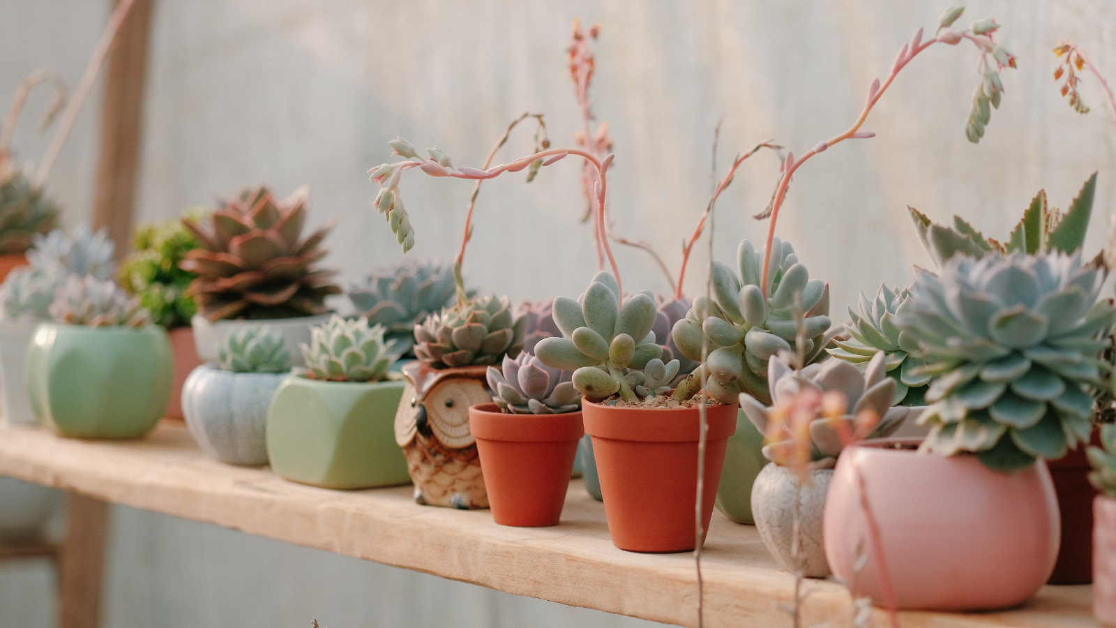 Mother’s Day Workshop