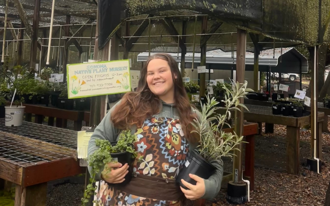 Growing Climate And Community Resilience Through Native Plants