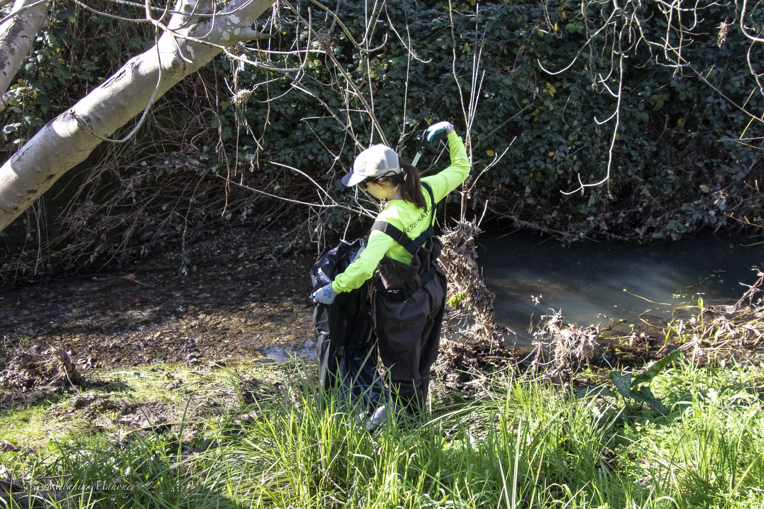 Image of a Sonoma Ecology Center Restoration Team member picking up trash by Sonoma Creek. She is wearing a bright long sleeved shirt, black overalls and a hat, and she's holding a trash bag and a trash grabber.