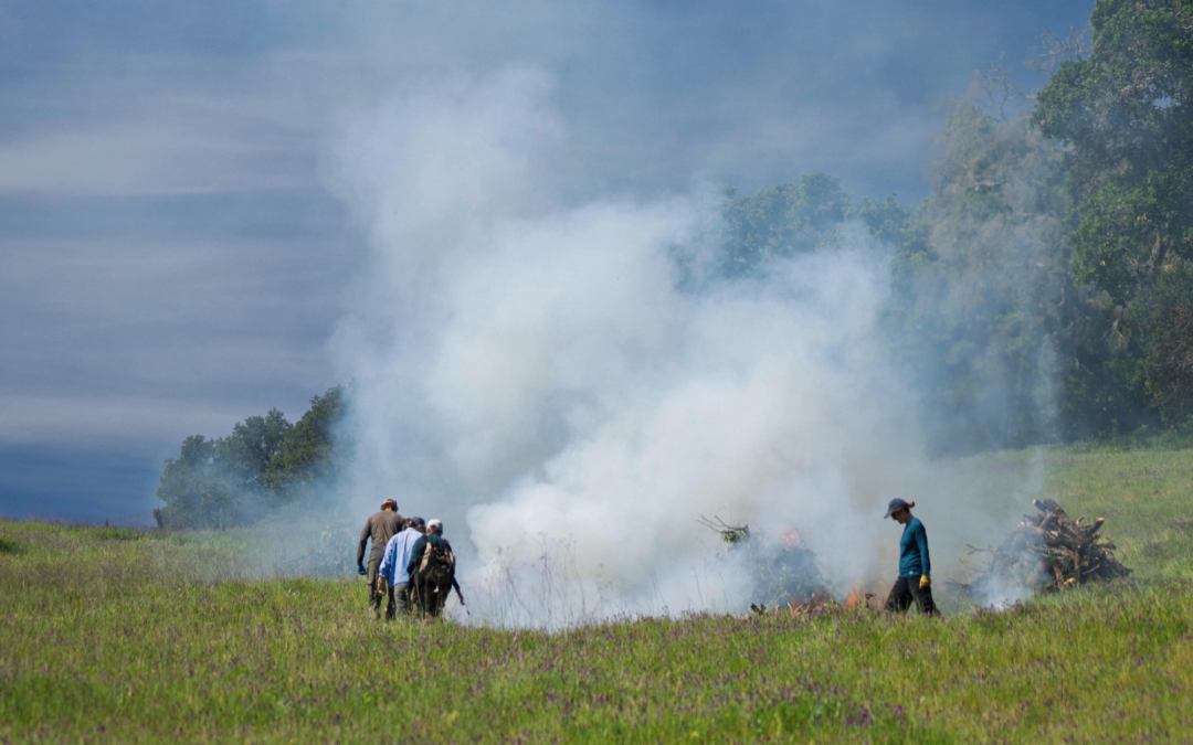 Living With Fire in Sonoma Valley: a Multi-Benefit Approach to Fire Resilience
